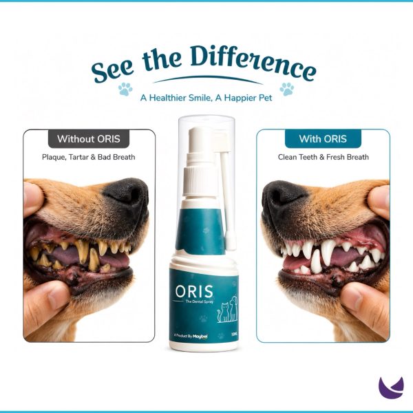 ORIS Dental Spray for Cats and Dogs 2