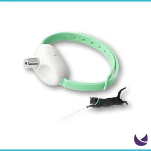 Cat Collar