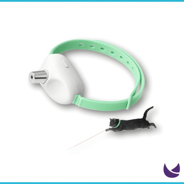 Cat Collar