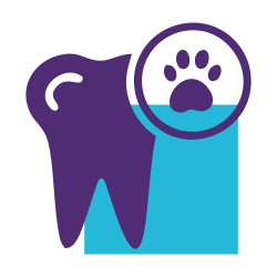 Pet dentist icon