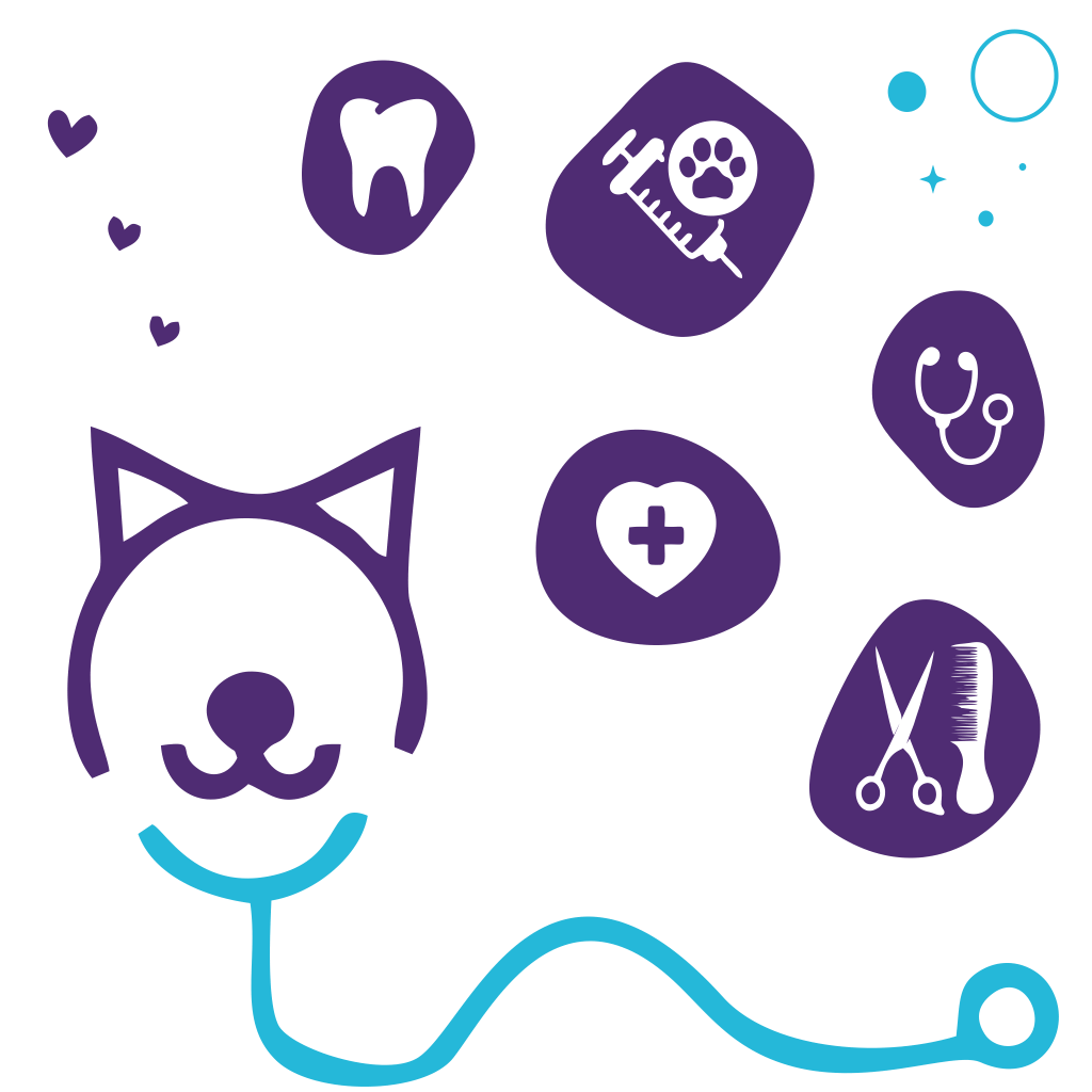 Pet services illustration