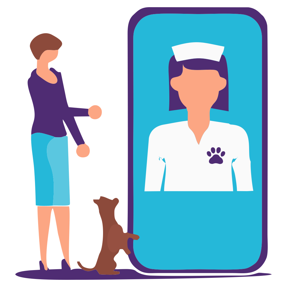 Vet online artwork