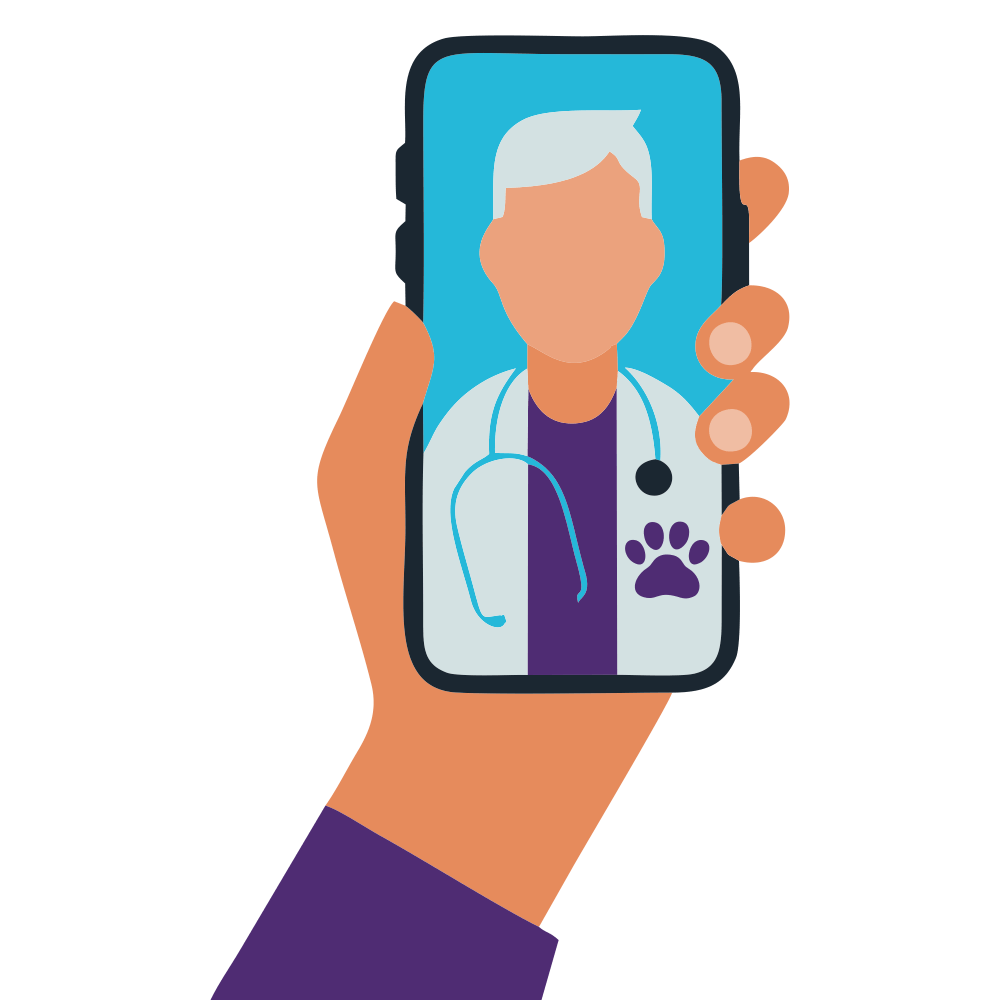 Vet Online Illustration