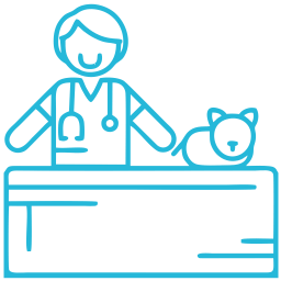 Vet and pet illustration