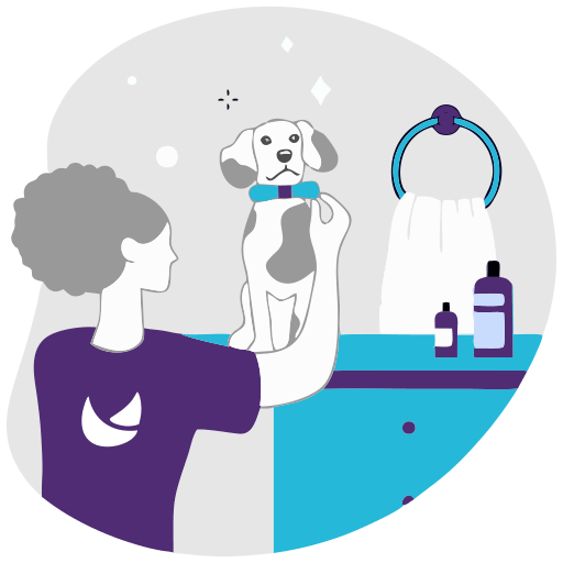 Pet daycare grooming illustration