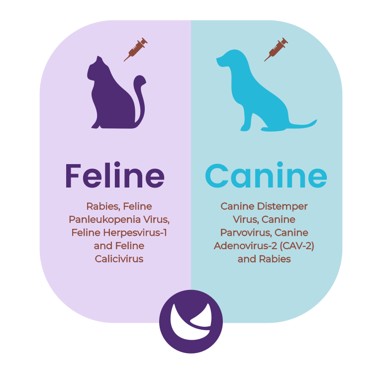 Feline and Canine core vaccines