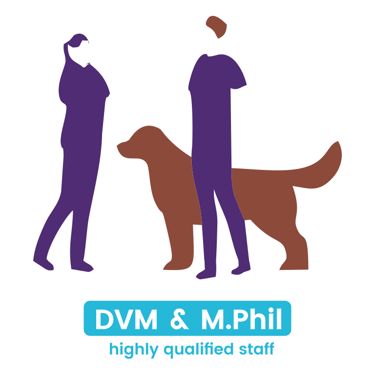 DVM and M.Phil in veterinary medicine staff
