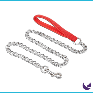 Silver chain dog leash with red nylon handle