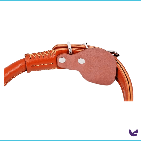 PU Leather Leash and Collar Set - Image 3
