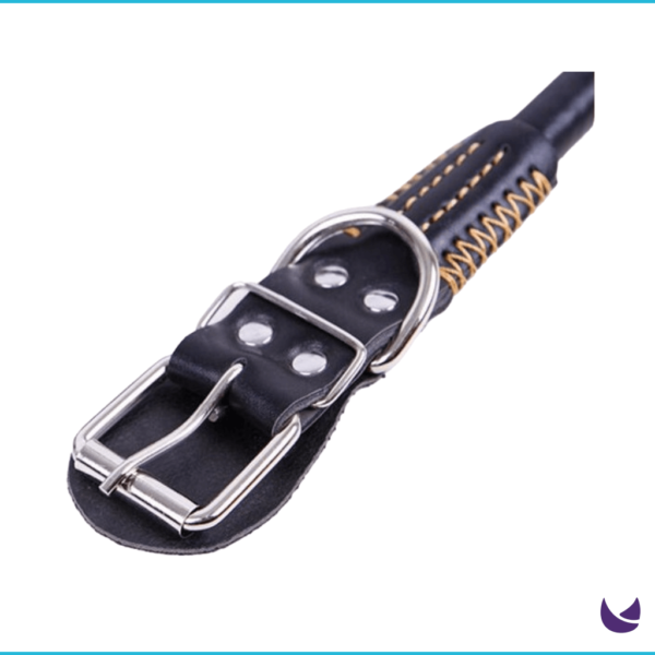 PU Leather Leash and Collar Set - Image 4