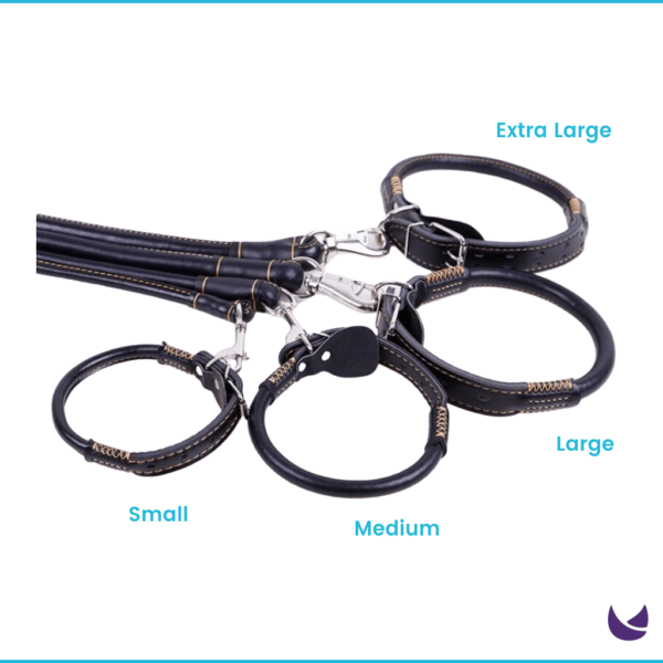 PU Leather Leash and Collar Set - Image 5