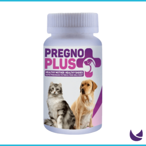 Prego Plus supplement for pregnant cats and dogs