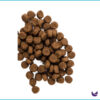 Nutra Gold Holistic Formulas Adult Cat Kibble