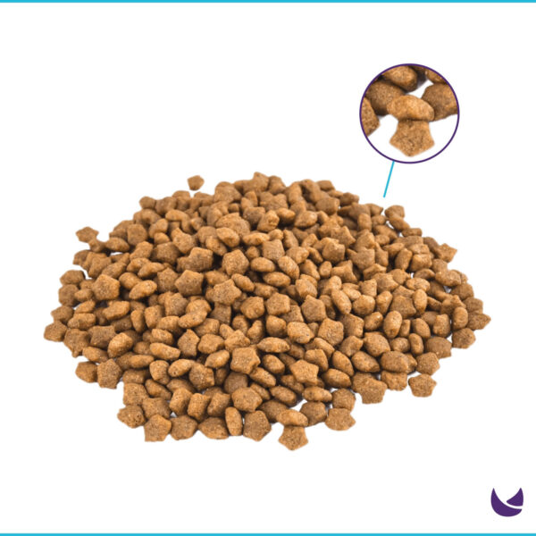 Petline Anchovy Kibble