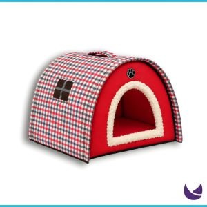 Cat House
