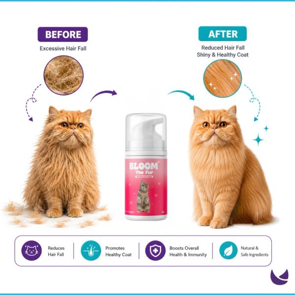 Bloom The Fur - Cat Hair Fall Control Formula 1