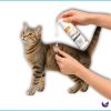 Thai Buddy Anti Fungal Lotion for Cats & Dogs 1