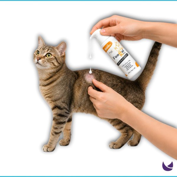 Thai Buddy Anti Fungal Lotion for Cats & Dogs 1