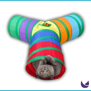 3 Way Cat Tunnel Toy