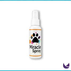 Anti Fungal