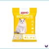 Cat Litter