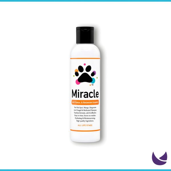 Anti Fungal Shampoo