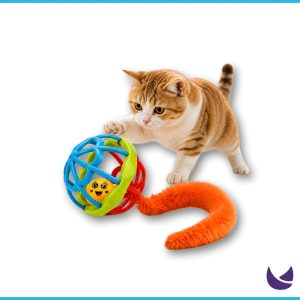 Toy Ball