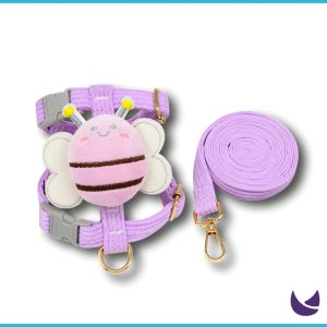 Harness and Leash Set