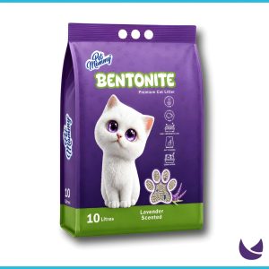 Cat Litter