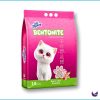 Cat Litter