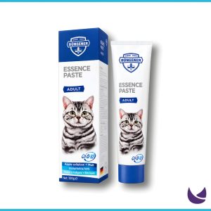 Essence Paste
