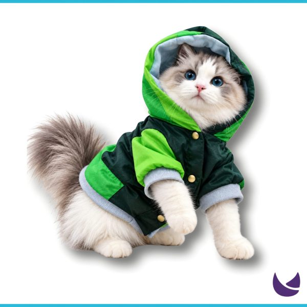 Cat Jacket