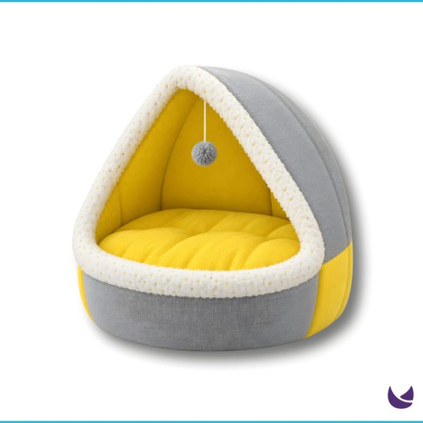 Cat House and Bed