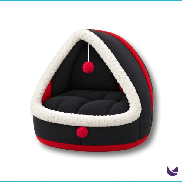 Cat House and Bed
