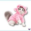 Pet Hoodie
