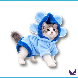 Pet Hoodie