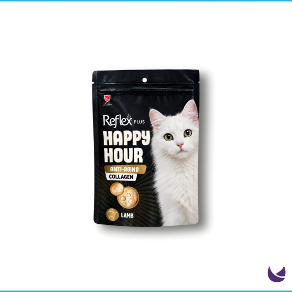Cat Treats
